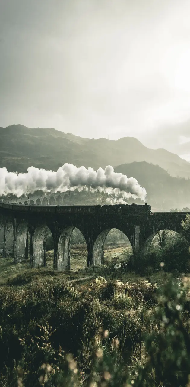 Harry Potter Train