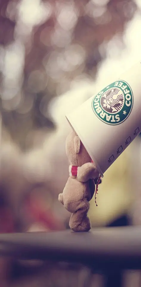 Starbucks Teddy