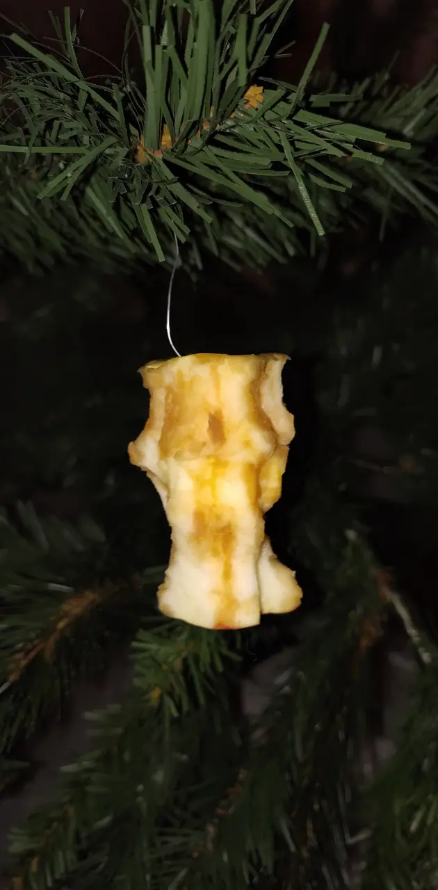 Apple core ornament
