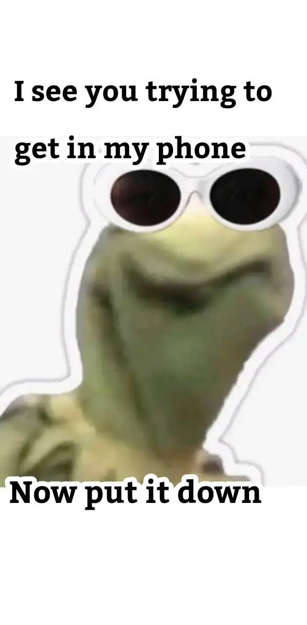 Kermit Glasses