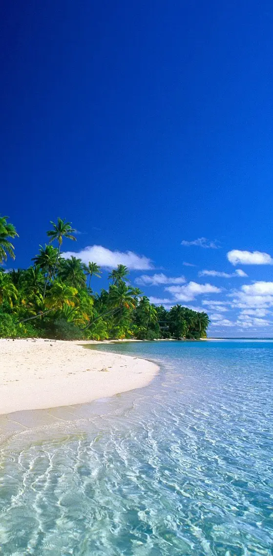 Tropical  Beach