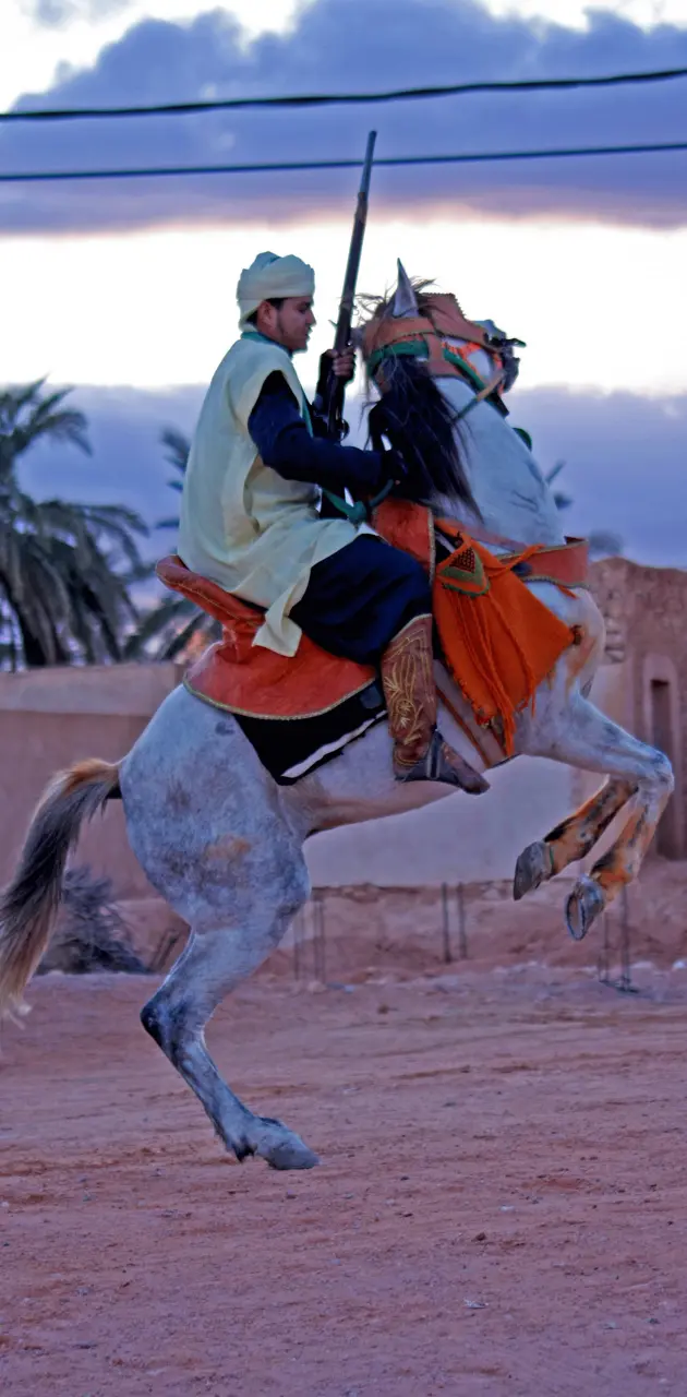 Elhadjira horses