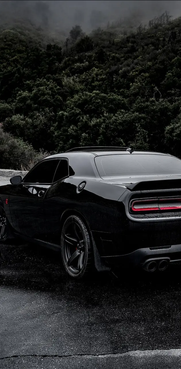 Dodge Challenger wallpaper by CarL0ver999 - Download on ZEDGE™ | 013a