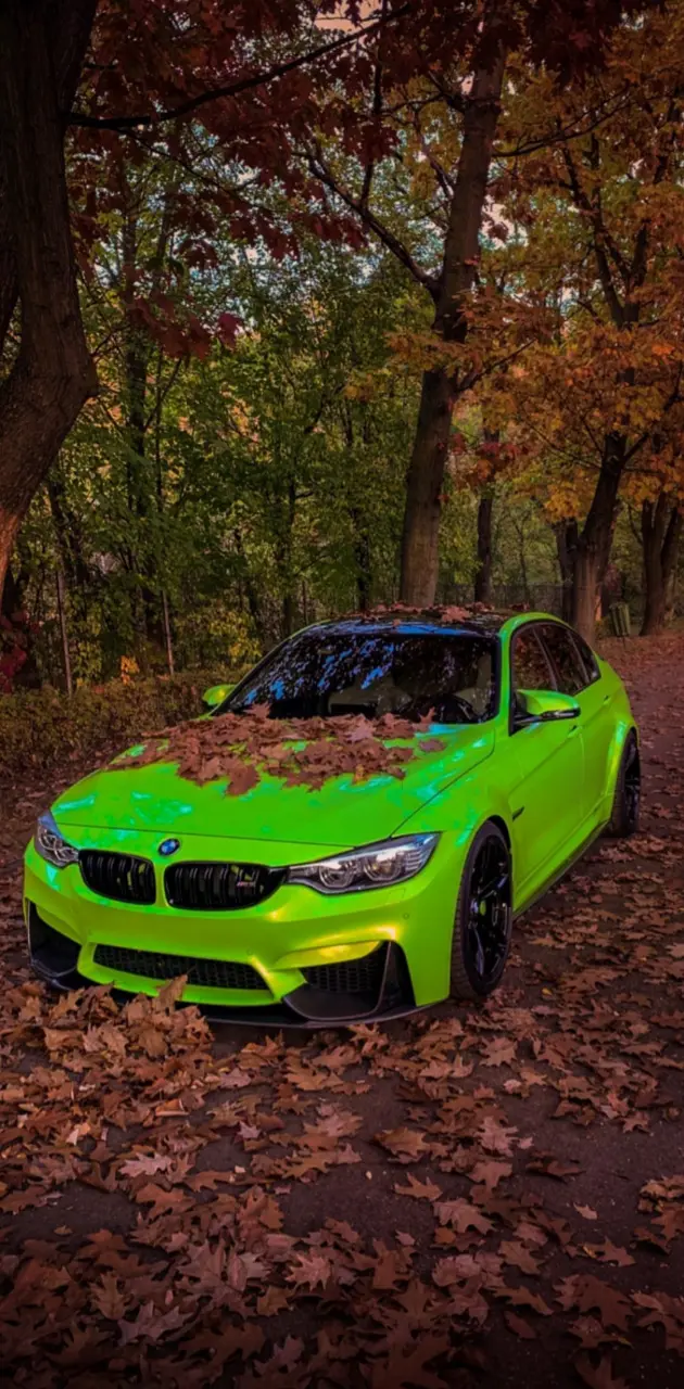 BMW M3