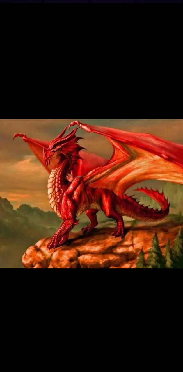 Red dragon