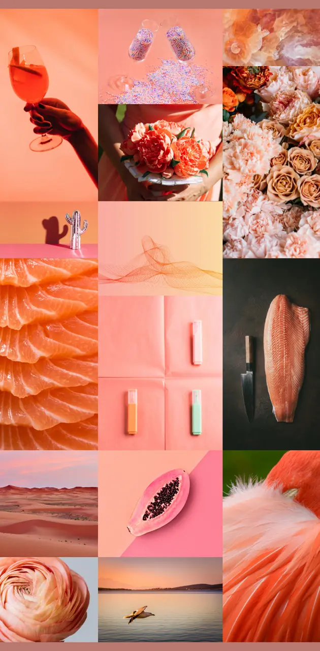 Salmon Collage
