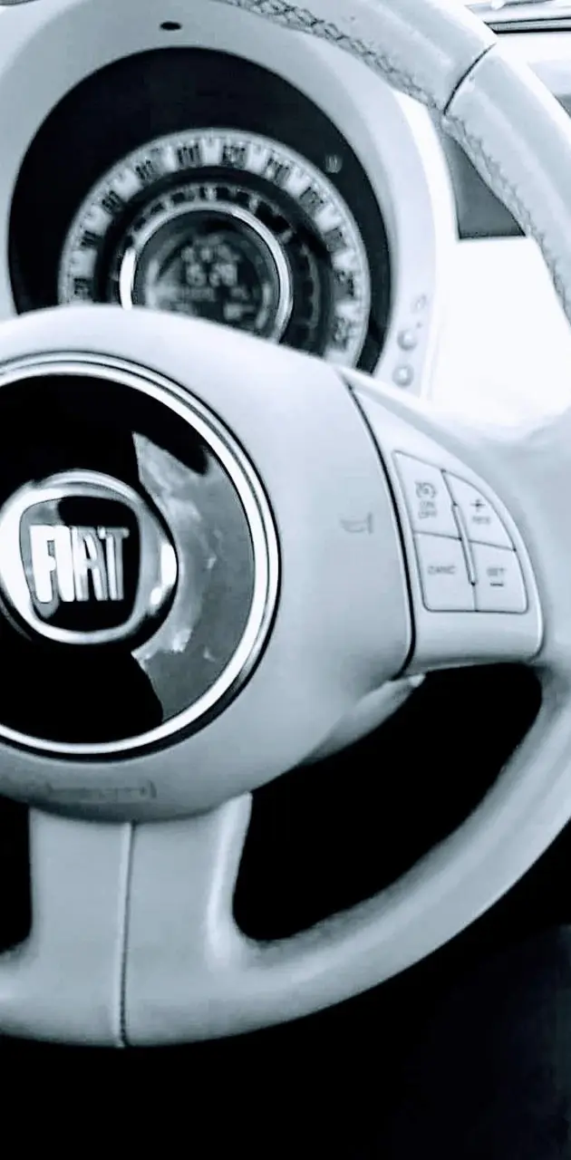 Fiat Steering