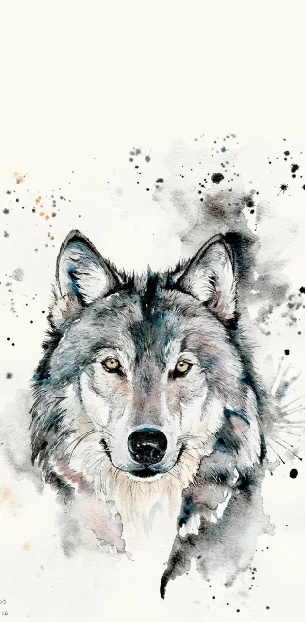 White & Black Wolf Art