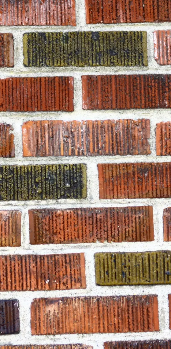 Wall Bricks