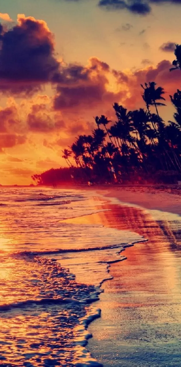 Sunset Beach View