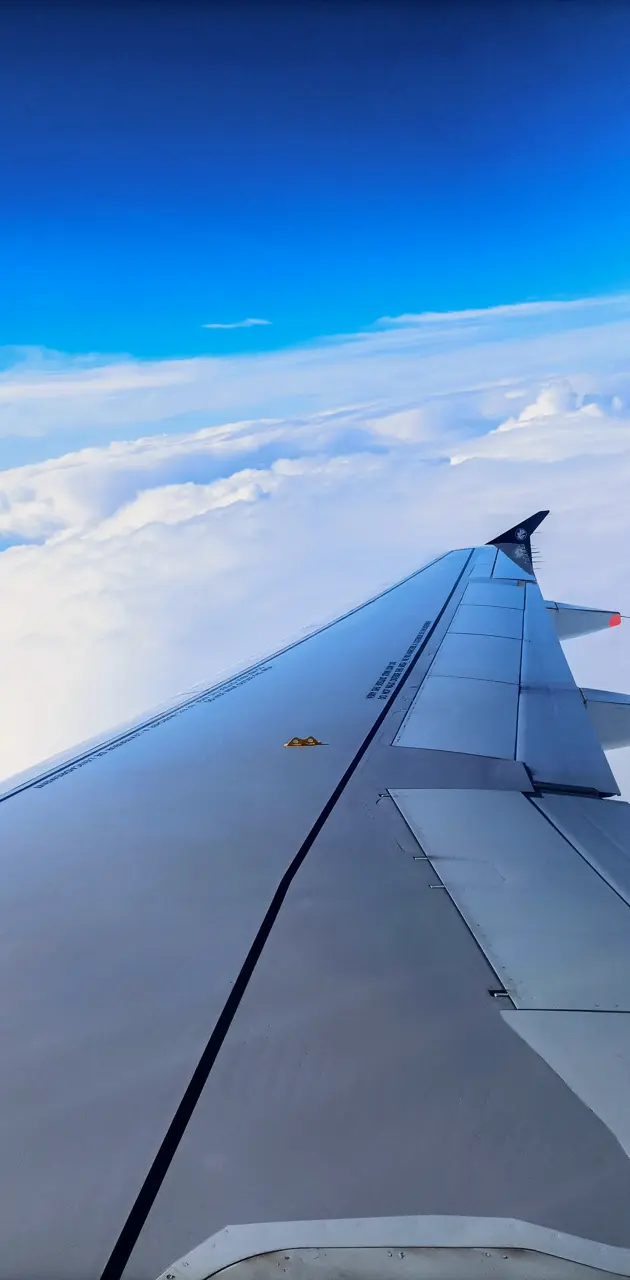 Plane wing view 