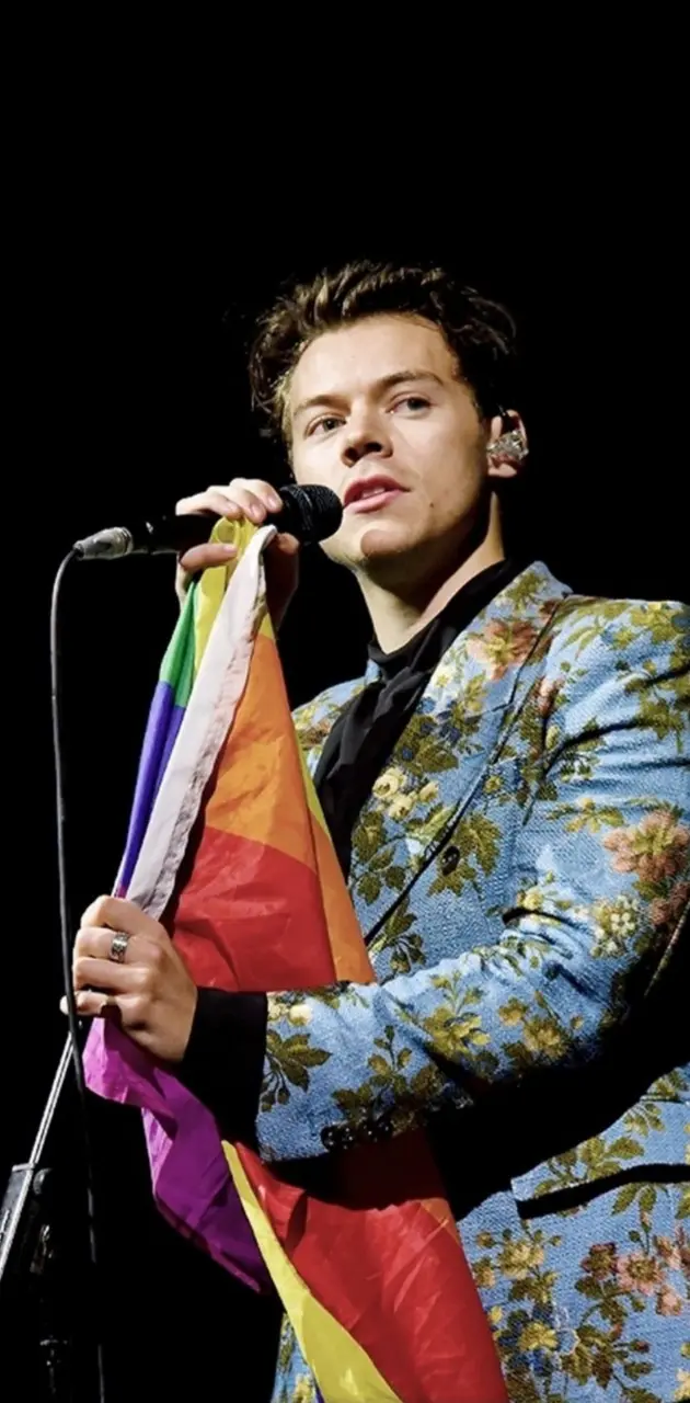 Harry Styles LGBT