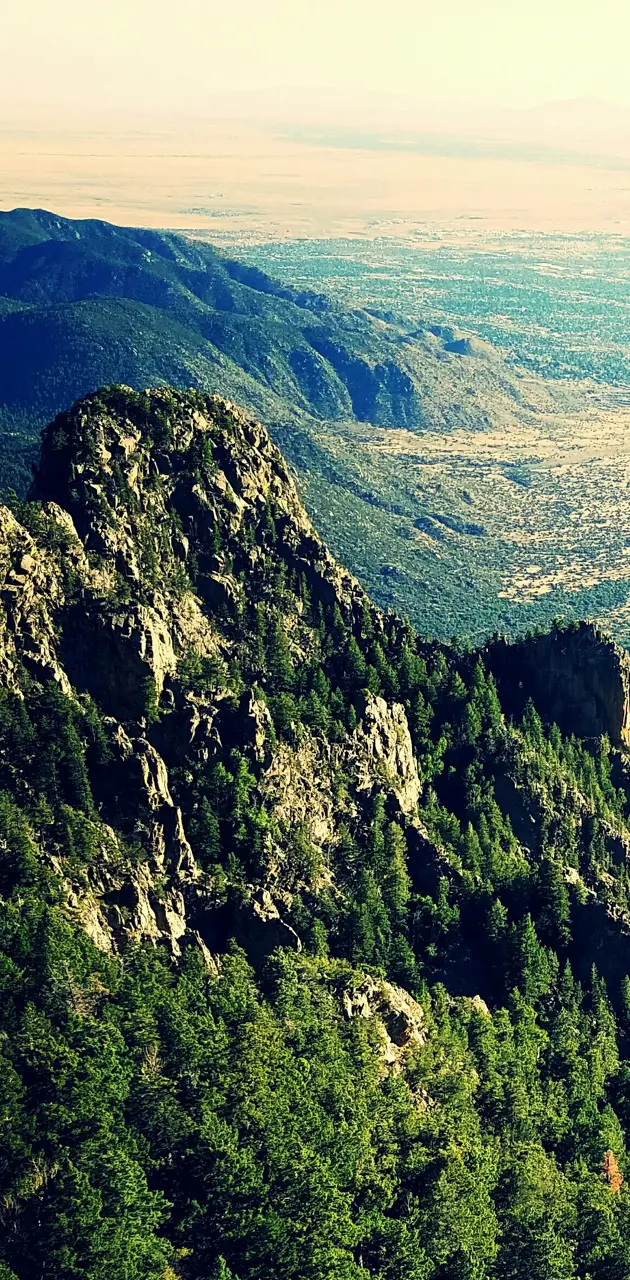 Sandia Peak View