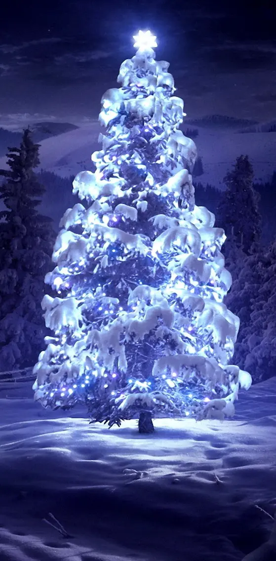light on top tree