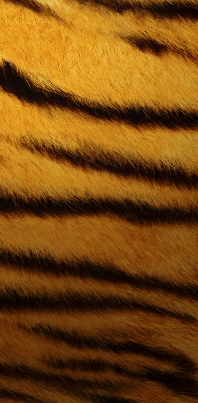 Tiger Skin Design Hd