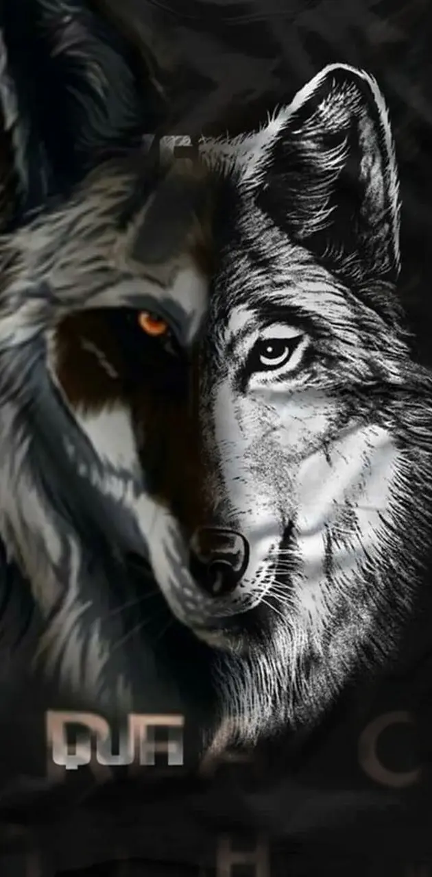 Two face wolf