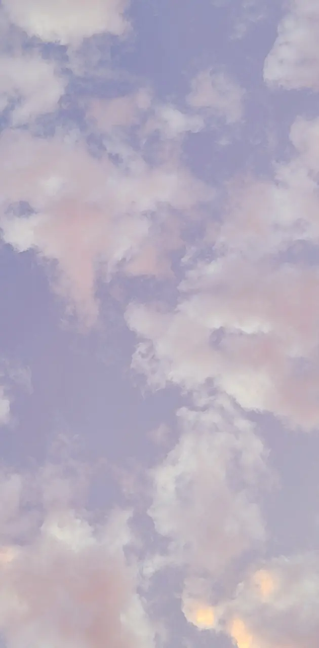 Lavender skies 