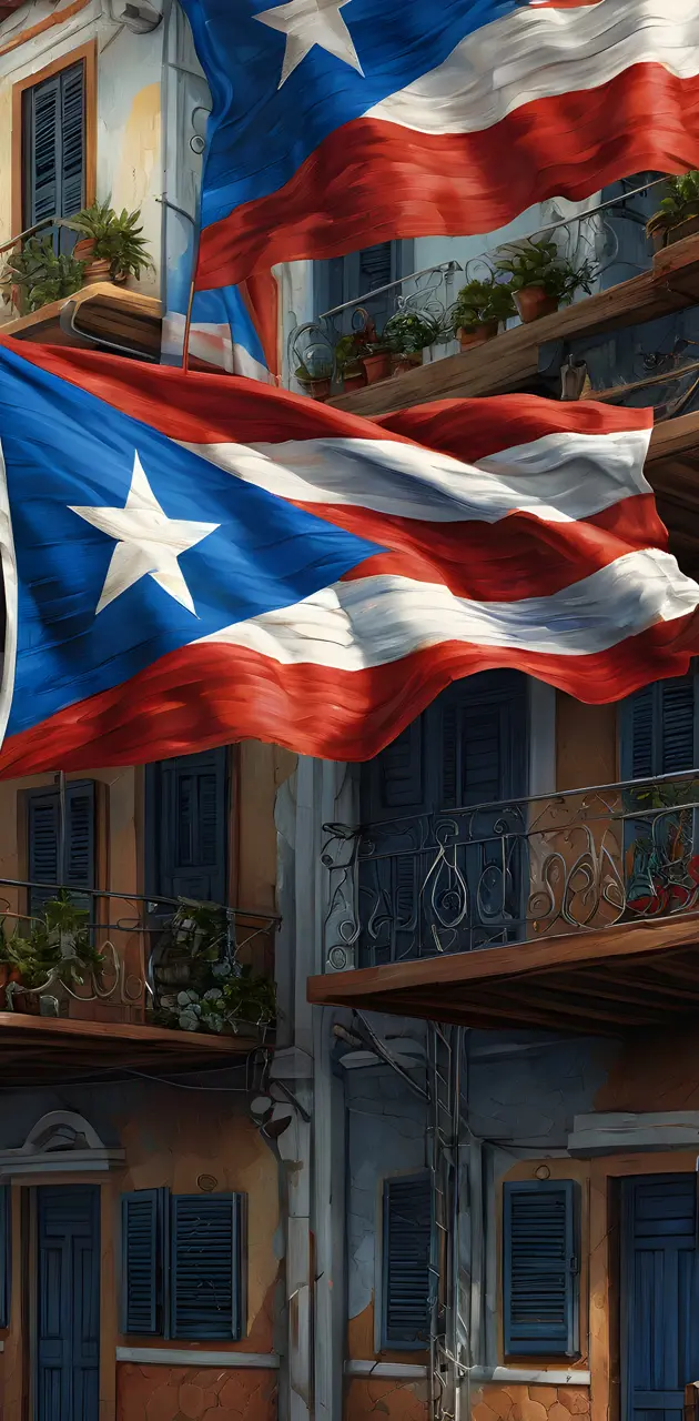 Puerto Rico Boricua Flag