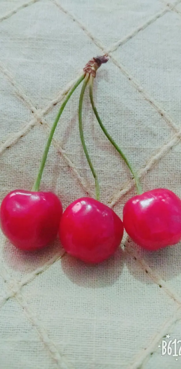 Mathur cherry