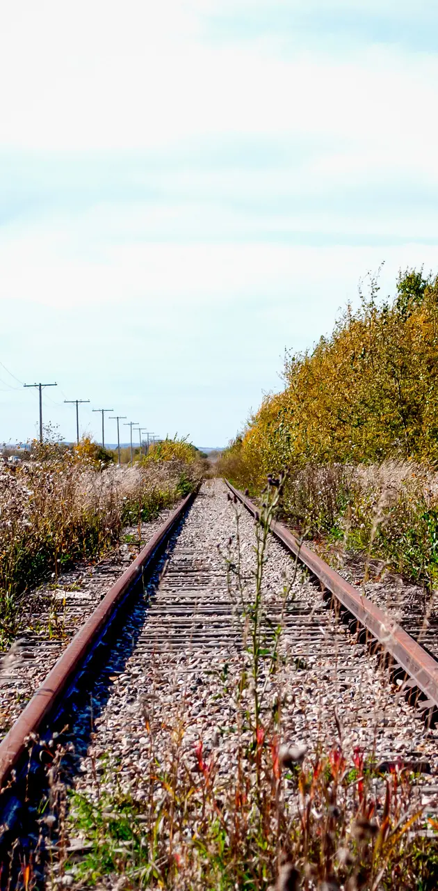 Abandoned Railway