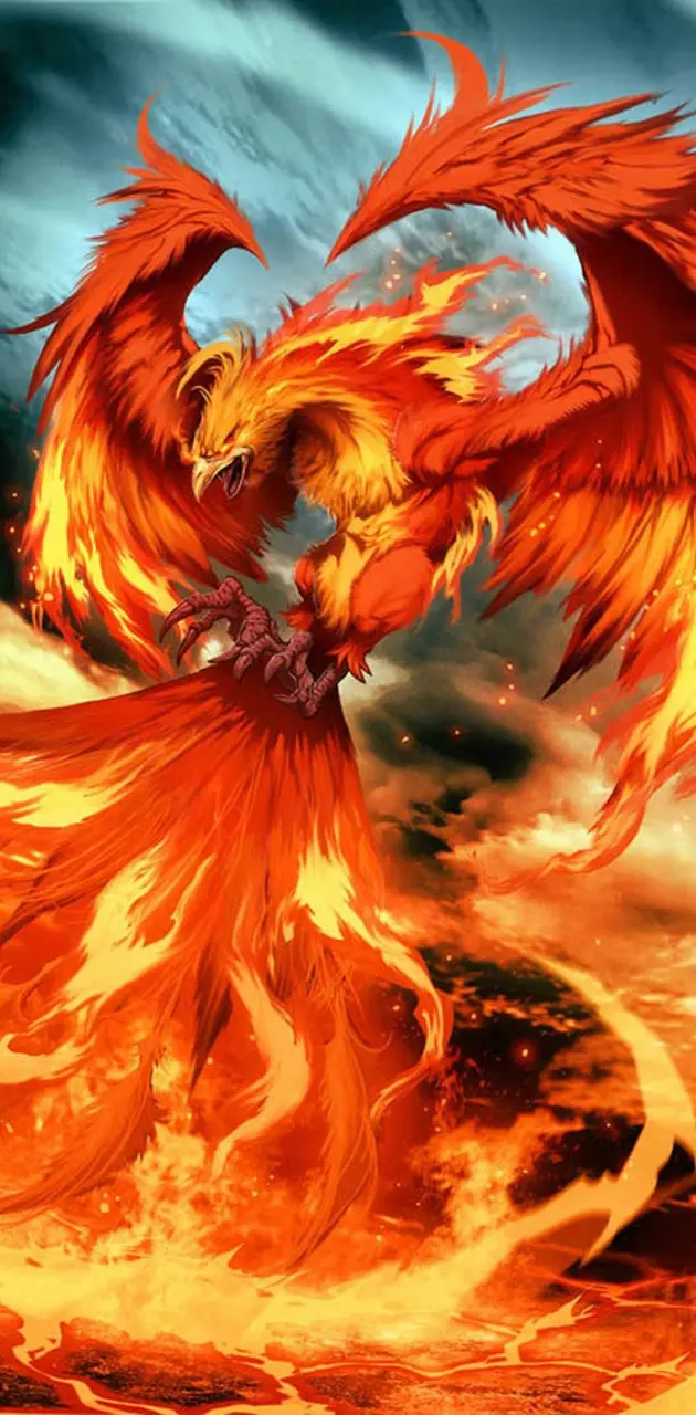 Fenix