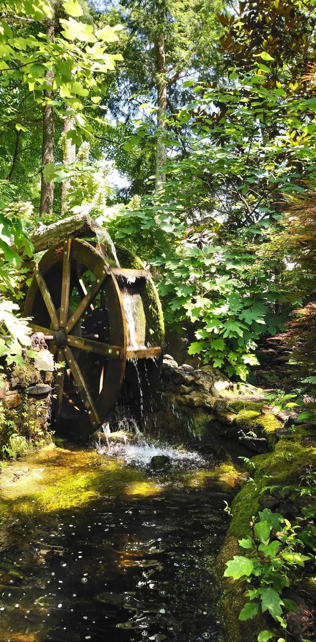 Nature watermill