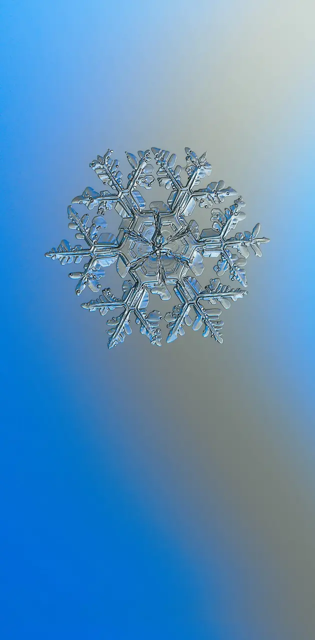 Macro Snowflake