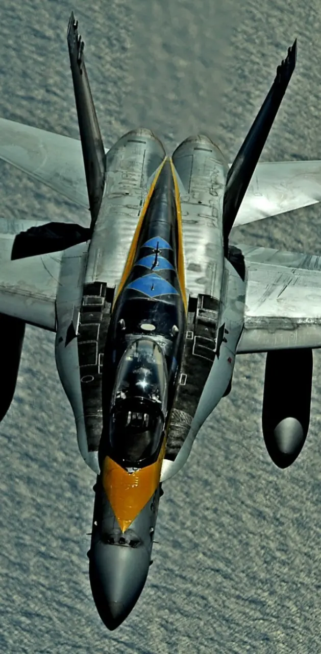 Hornet F18