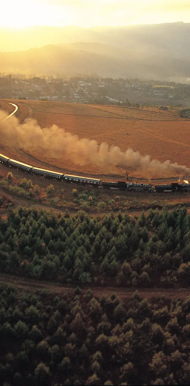 Smoke Train