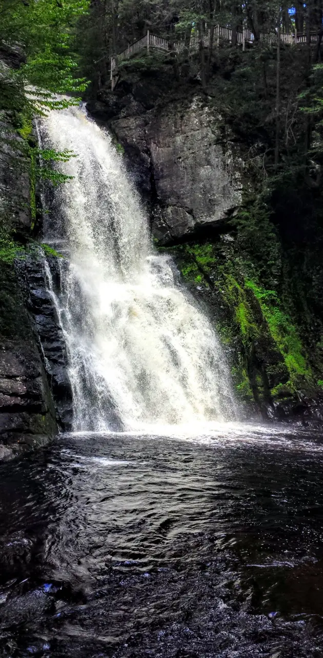Tranquil Falls