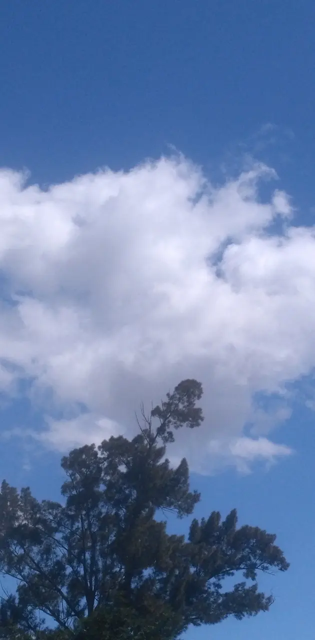 El arbol con nubes