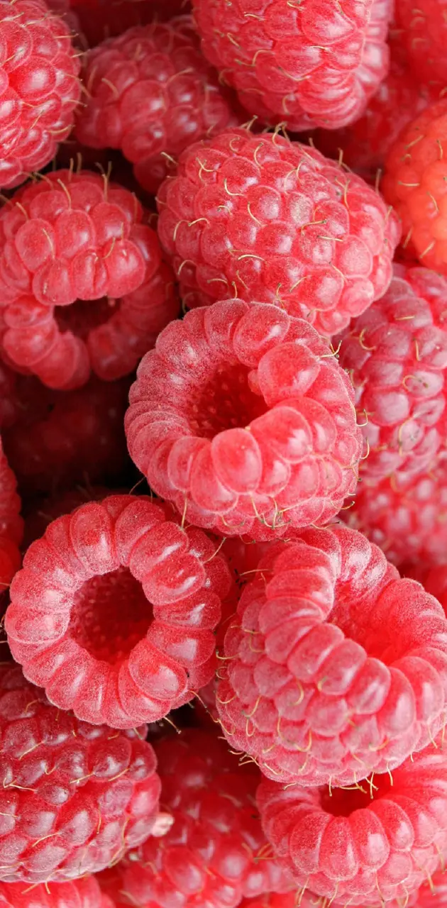 Rashberries