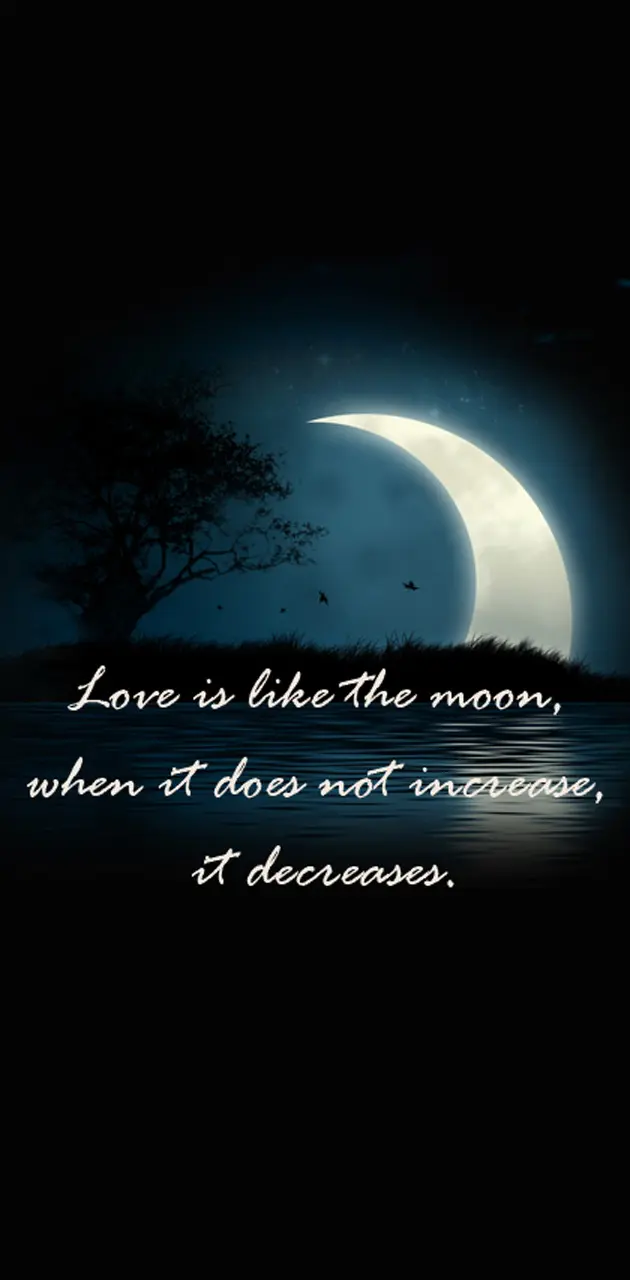 Moon And Love