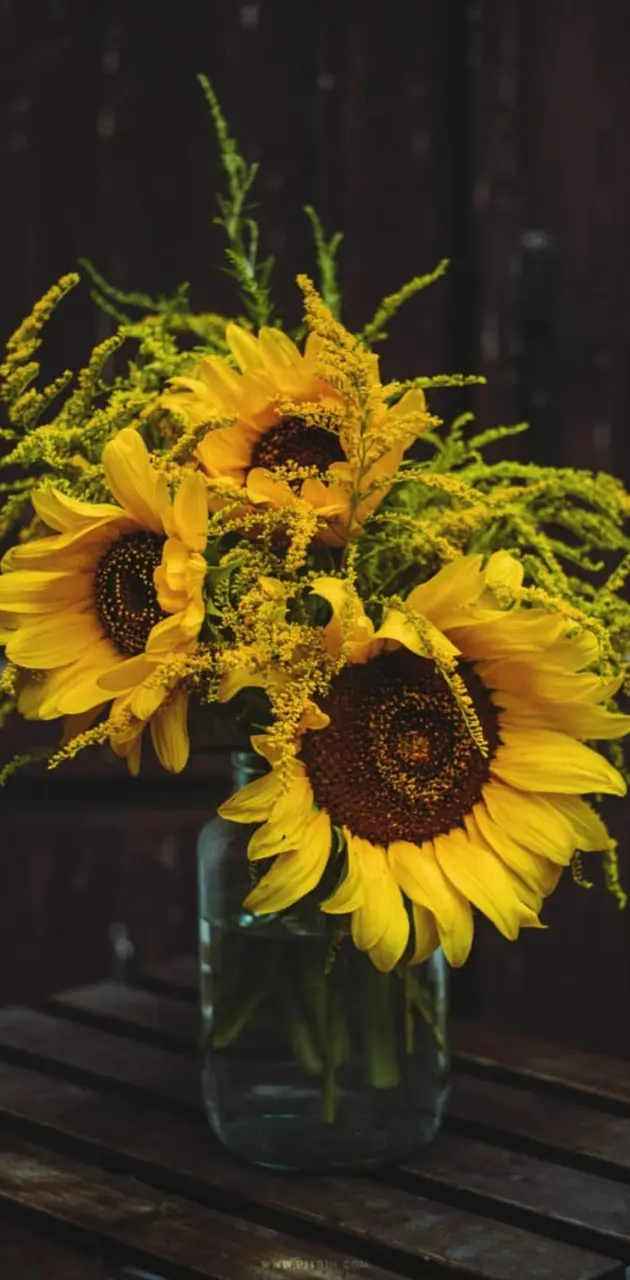 Sunflowers in a jar