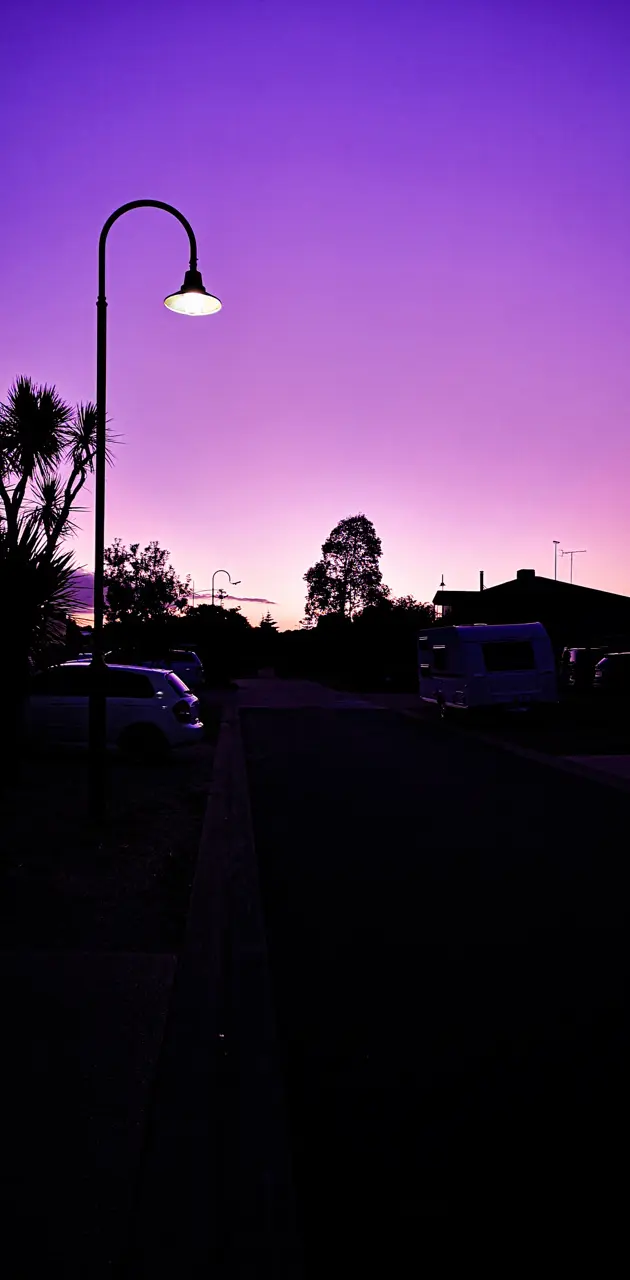 Purple twilight 