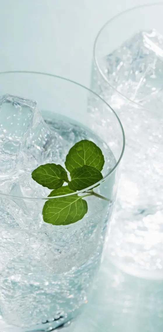 Water Mint Ice