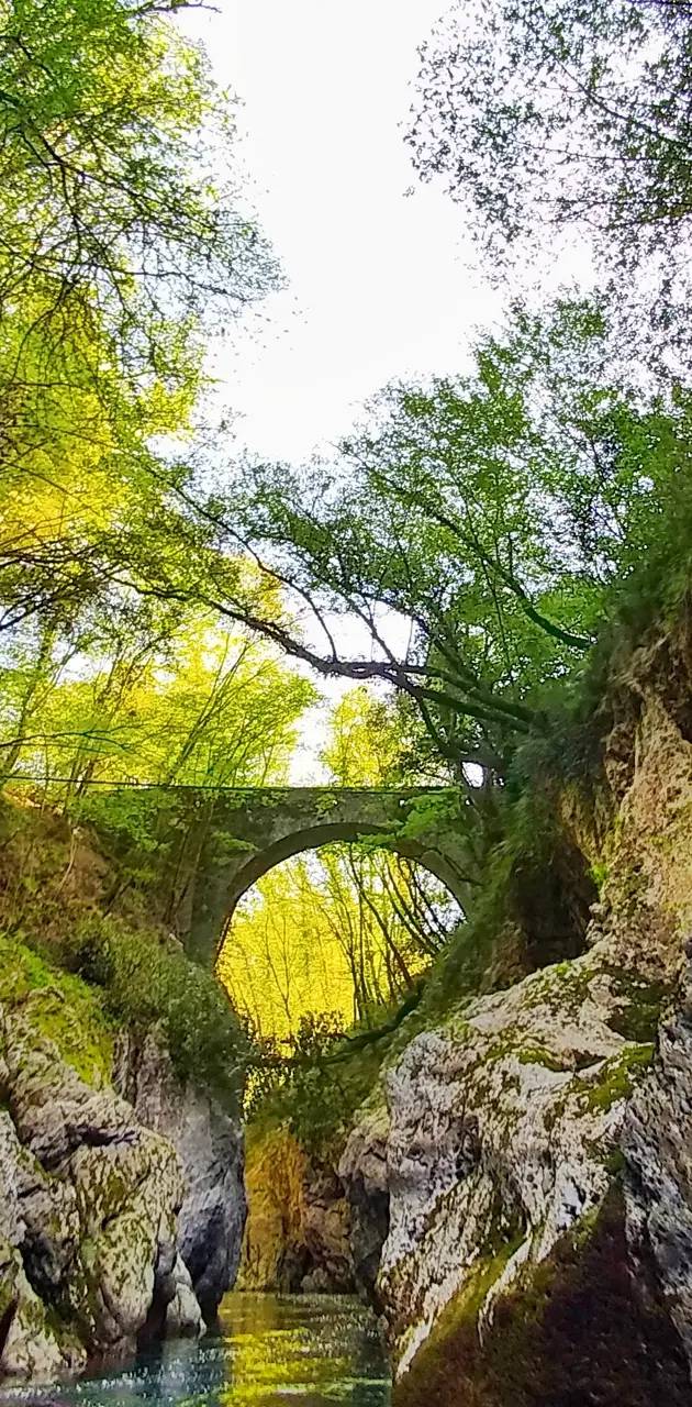 Bridge in the canyon