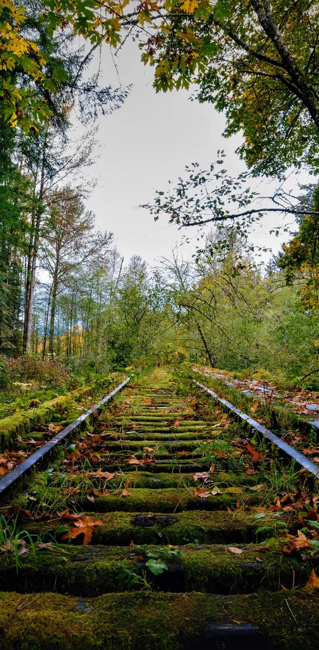 railroad railway