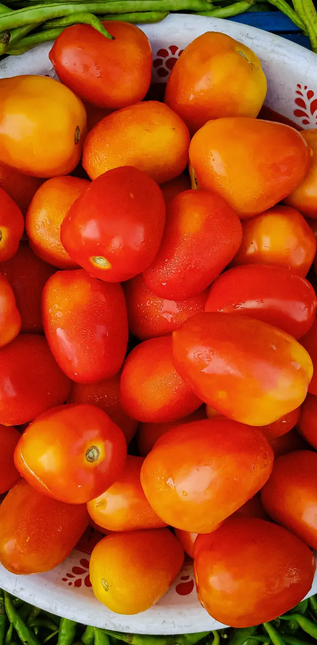 Red Tomatoes 