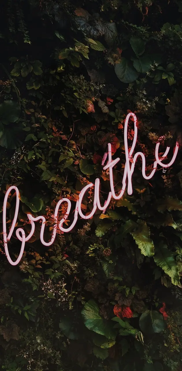 Breathe light