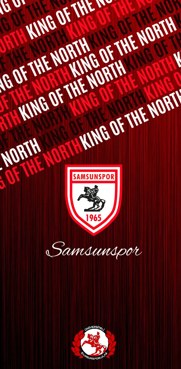 Samsunspor