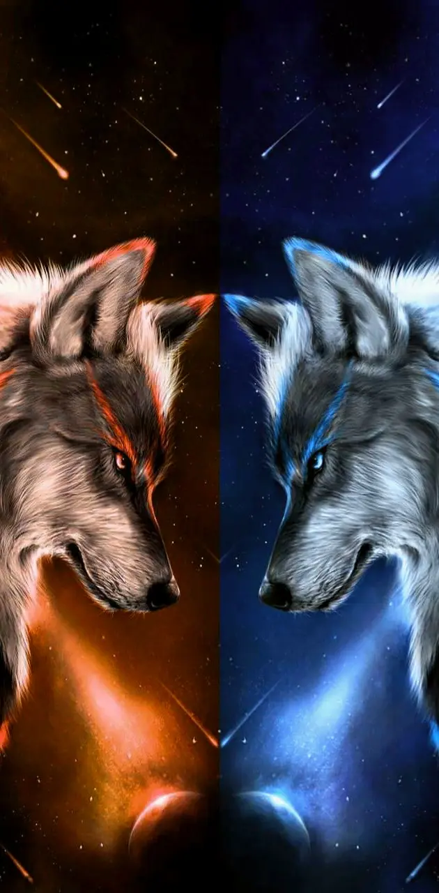 Wolves7
