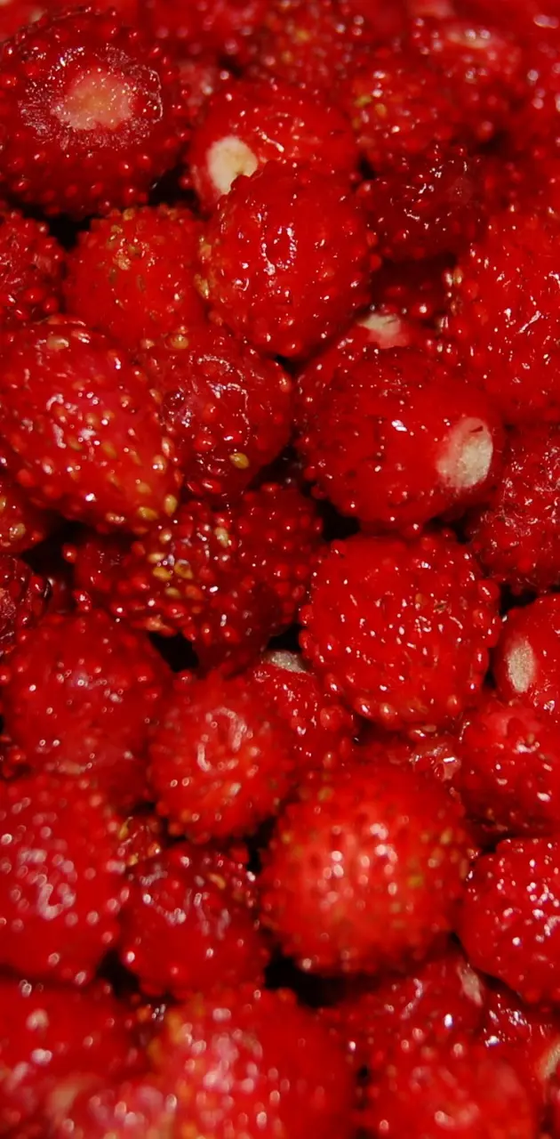 Small Strawberries