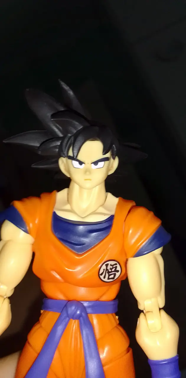 Goku figure 