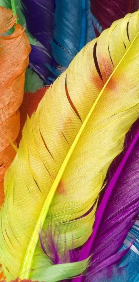 Htc Feathers Hd