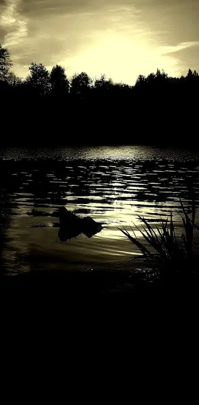 Night Lake