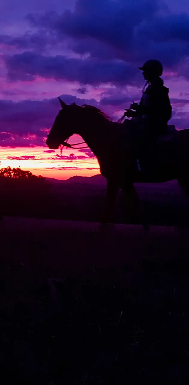 Horse Sunset 2