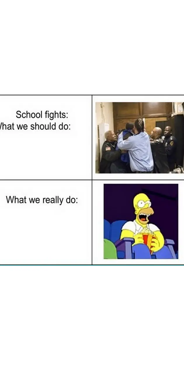 School Fights