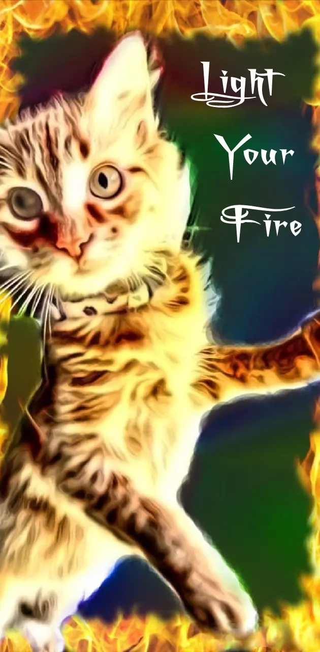 Light Your Fire Cat