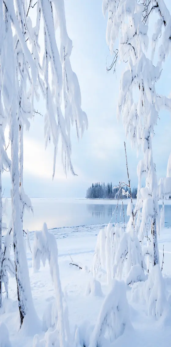 Winter   Landscape